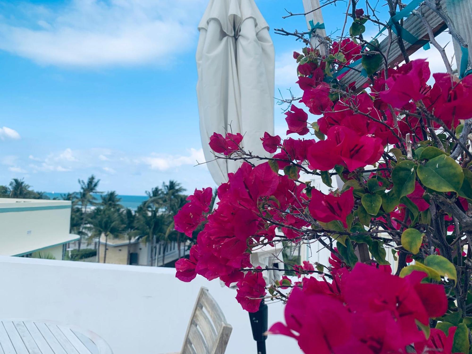 Sunrise Penthouse Ocean View Terrace Beach Few Steps Away Sobe Miami Beach Eksteriør bilde